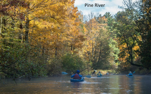 pine river